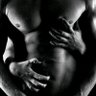 yanis's profile picture