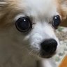 Profilbild von みかりん