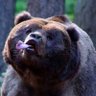 beyetc's profile picture