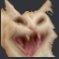 Profilbild von Crypti