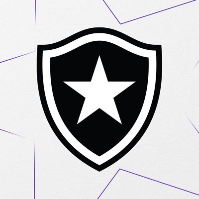 Botafogo Futebol Feminino's profile picture