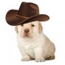 Profilbild von Cowboy🤠🦈✝️