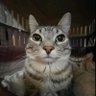 Фото профиля Matias