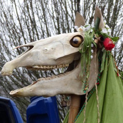 DrLwyd's profile picture