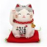🇹🇭manekineko オフショア法人 運営エキスパート/Digital Nomad/ノマド 的头像