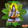 शिक्षित राष्ट्र भक्त (मैं नहीं मोदी का परिवार) profil fotoğrafı