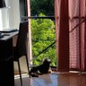 Ariel340 profil fotoğrafı