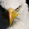 Hel Bon's profile picture