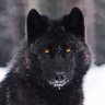 Profilbild von Mountain D Man