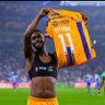 luis's profile picture