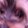 Profilbild von Fat Diesel