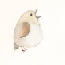 Profilbild von Janet Oliver