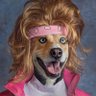 Profilbild von not a dog