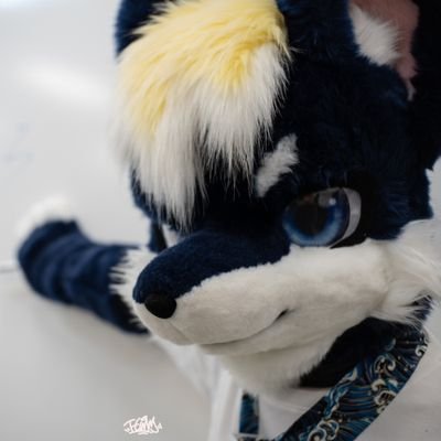 秋斗AKIto's profile picture