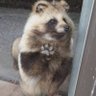 木村あき 的头像