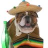 Profilbild von Borderline Bully