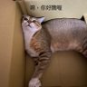 20世紀少年 的头像