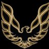 roz1 profil fotoğrafı