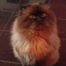 Profilbild von Mathew
