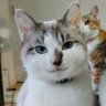 一ノブ profil fotoğrafı