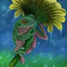 Rainfrog3's profile picture