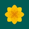 Plaid Cymru 🏴's profile picture