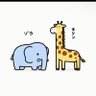 Profilbild von さとゆう