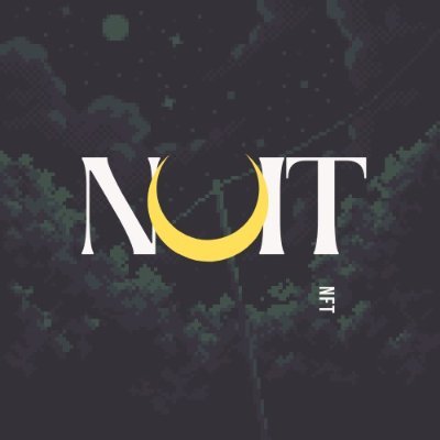 NuitNFT's profile picture