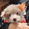 きみ's profile picture