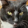 Profilbild von Spring has かぷ😼カルトお断り