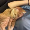 😼 profil fotoğrafı