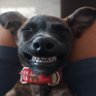 Gabie's profile picture