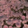 just_love_yourself20 的头像