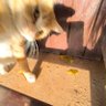 yanhron profil fotoğrafı