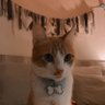 Фото профиля Titi