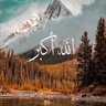 أبو عبد الله 的头像