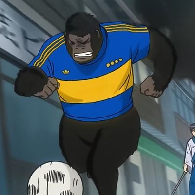 nosoytocuen's profile picture