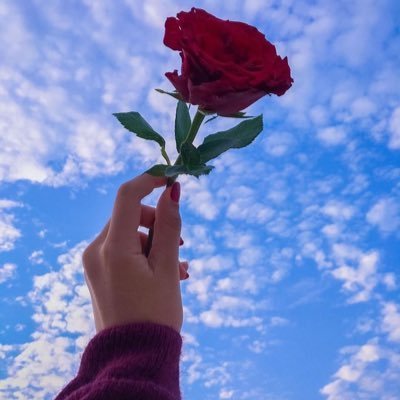hd🕊's profile picture