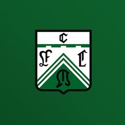 MundialFerroTw's profile picture