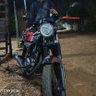 motorizado-single 🍍's profile picture