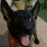 Madl profil fotoğrafı