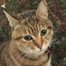 Profilbild von aro