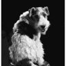 Asta's profile picture