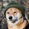 Griever's profile picture