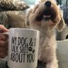 RT's profile picture