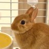Фото профиля くりまるのお部屋