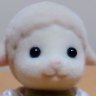 ひつじ🐑's profile picture