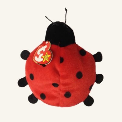 brainb4rf's profile picture