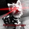 Liberty Belle's profile picture
