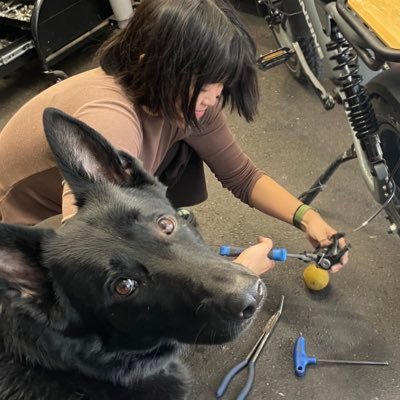 ZhugeYY's profile picture